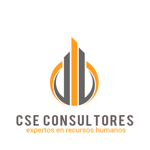 CSE CONSULTORES